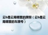 云b是云南哪里的牌照（云b是云南哪里的车牌号）