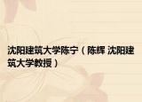 沈阳建筑大学陈宁（陈辉 沈阳建筑大学教授）
