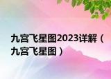 九宫飞星图2023详解（九宫飞星图）