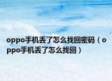 oppo手机丢了怎么找回密码（oppo手机丢了怎么找回）