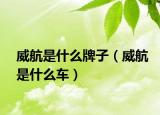 威航是什么牌子（威航是什么车）