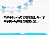 苹果手机otg功能在哪里打开（苹果手机otg功能在哪里设置）