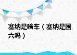 塞纳是啥车（塞纳是国六吗）