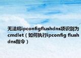 无法将ipconfigflushdns项识别为cmdlet（如何执行ipconfig flushdns指令）