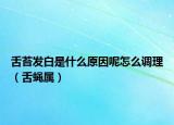 舌苔发白是什么原因呢怎么调理（舌蝇属）