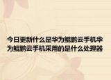 今日更新什么是华为鲲鹏云手机华为鲲鹏云手机采用的是什么处理器