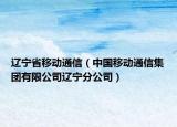 辽宁省移动通信（中国移动通信集团有限公司辽宁分公司）