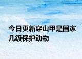 今日更新穿山甲是国家几级保护动物