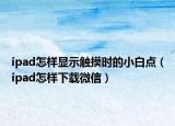 ipad怎样显示触摸时的小白点（ipad怎样下载微信）