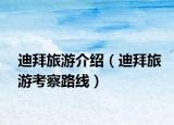 迪拜旅游介绍（迪拜旅游考察路线）