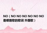 NO（NO NO NO NO NO NO是哪首歌的歌词 外国歌）