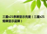三星s21息屏显示亮度（三星s21熄屏显示蓝屏）