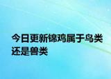 今日更新锦鸡属于鸟类还是兽类