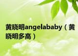 黄晓明angelababy（黄晓明多高）