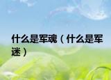 什么是军魂（什么是军迷）
