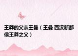 王莽的父亲王曼（王曼 西汉新都侯王莽之父）