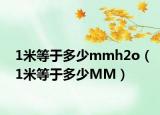 1米等于多少mmh2o（1米等于多少MM）