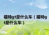 福特gt是什么车（福特gt是什么车）