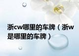 浙cw哪里的车牌（浙w是哪里的车牌）