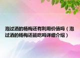 泡过酒的杨梅还有利用价值吗（泡过酒的杨梅还能吃吗详细介绍）