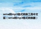 wma转mp3格式转换工具中文版（wma转mp3格式转换器）
