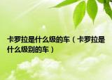 卡罗拉是什么级的车（卡罗拉是什么级别的车）