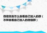 微信里面怎么查看自己加入的群（怎样查看自己加入的微信群）
