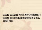 apple pencil丢了可以通过定位查找吗（apple pencil可以查找定位吗 丢了怎么定位介绍）