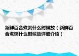 新鲜百合煮粥什么时候放（新鲜百合煮粥什么时候放详细介绍）