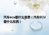 汽车ecu是什么意思（汽车ECU是什么东西）
