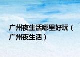 广州夜生活哪里好玩（广州夜生活）