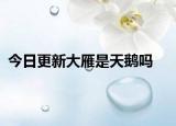今日更新大雁是天鹅吗