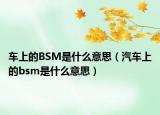 车上的BSM是什么意思（汽车上的bsm是什么意思）