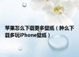 苹果怎么下载更多壁纸（肿么下载多玩iPhone壁纸）