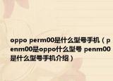 oppo perm00是什么型号手机（penm00是oppo什么型号 penm00是什么型号手机介绍）