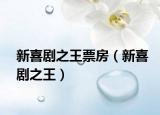 新喜剧之王票房（新喜剧之王）