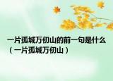 一片孤城万仞山的前一句是什么（一片孤城万仞山）