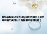 夏枯草和蒲公英可以长期泡水喝吗（夏枯草和蒲公英可以长期服用吗详细介绍）