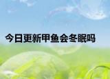 今日更新甲鱼会冬眠吗