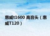 惠威t1600 高音头（惠威T120）