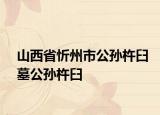 山西省忻州市公孙杵臼墓公孙杵臼