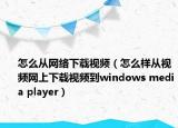 怎么从网络下载视频（怎么样从视频网上下载视频到windows media player）