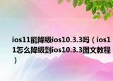 ios11能降级ios10.3.3吗（ios11怎么降级到ios10.3.3图文教程）