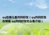 qq在哪儿看共同好友（qq共同好友在哪看 qq共同好友怎么看介绍）