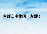左颖宗申集团（左颖）