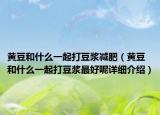 黄豆和什么一起打豆浆减肥（黄豆和什么一起打豆浆最好呢详细介绍）