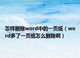 怎样删除word中的一页纸（word多了一页纸怎么删除啊）