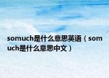 somuch是什么意思英语（somuch是什么意思中文）