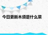 今日更新木须是什么菜