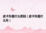 皮卡车是什么类别（皮卡车是什么车）